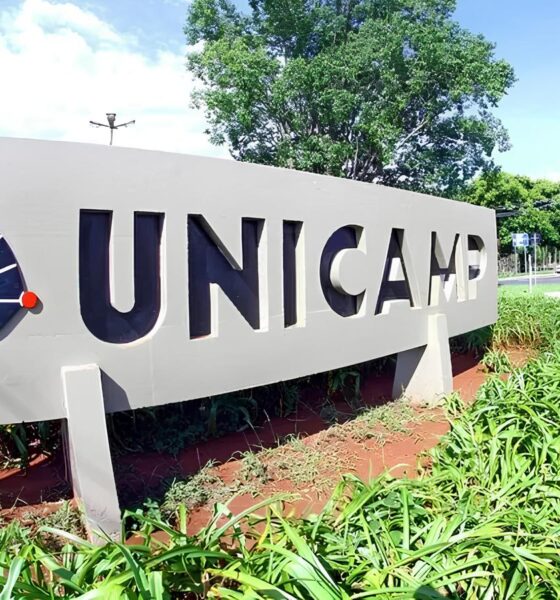 Concursos da Unicamp em 2025 Como Garantir Sua Vaga em uma das Melhores Universidades do Pa s