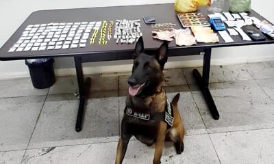 Crime Encoberto em Copos e Garrafas A Hist ria do Comerciante que Transformou sua Adega em um Ponto de Tr fico em Americana