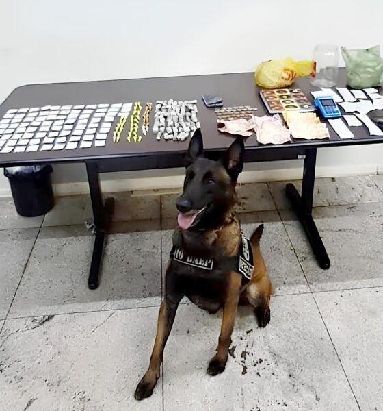 Crime Encoberto em Copos e Garrafas A Hist ria do Comerciante que Transformou sua Adega em um Ponto de Tr fico em Americana