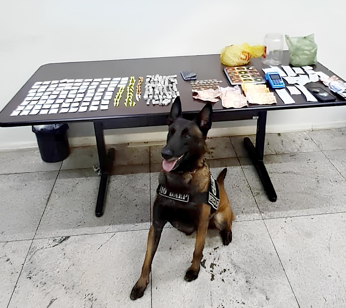Crime Encoberto em Copos e Garrafas A Hist ria do Comerciante que Transformou sua Adega em um Ponto de Tr fico em Americana