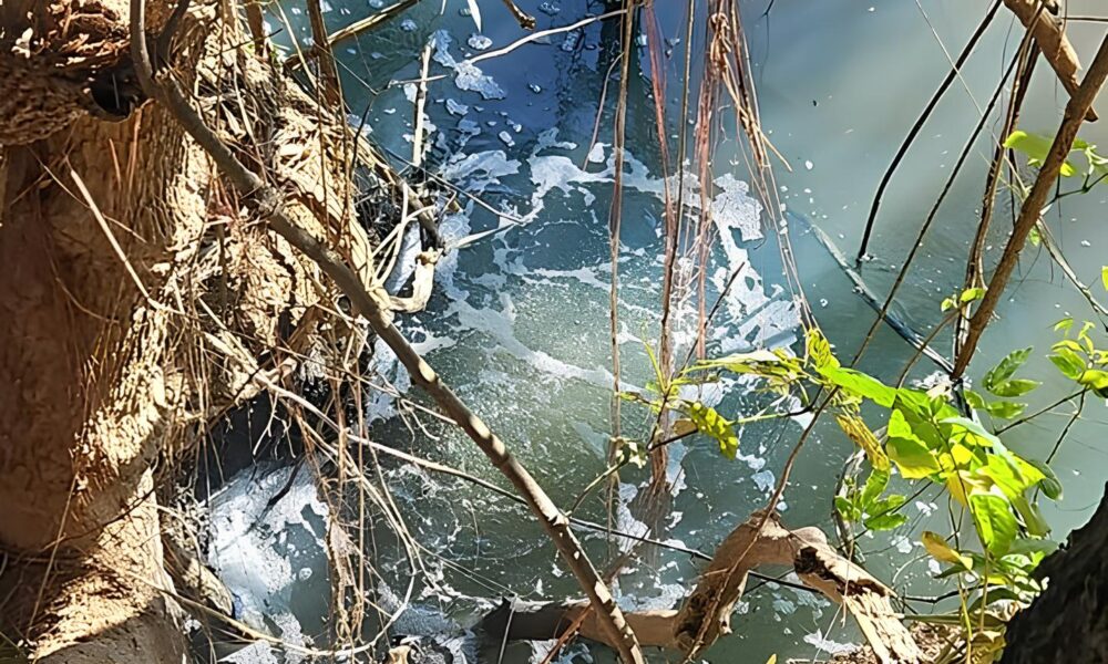Crime s Margens do Rio Capivari A Hist ria de Pai e Filho Presos por Polui o Ambiental em Capivari