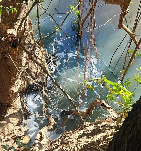 Crime às Margens do Rio Capivari: A História de Pai e Filho Presos por Poluição Ambiental em Capivari 9 Crime s Margens do Rio Capivari A Hist ria de Pai e Filho Presos por Polui o Ambiental em Capivari