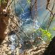 Crime s Margens do Rio Capivari A Hist ria de Pai e Filho Presos por Polui o Ambiental em Capivari
