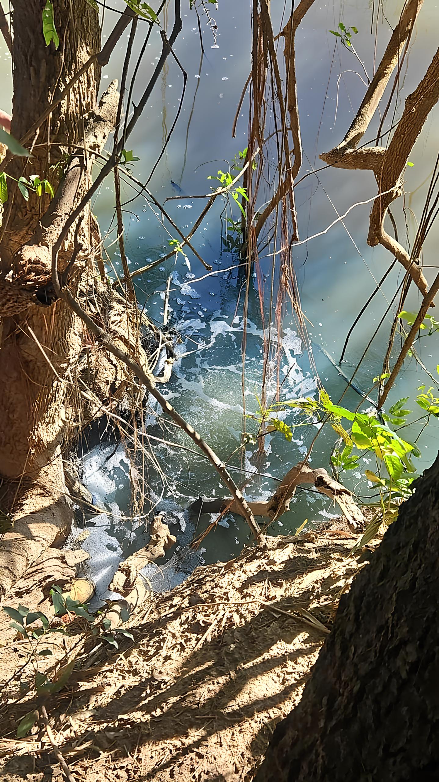 Crime às Margens do Rio Capivari: A História de Pai e Filho Presos por Poluição Ambiental em Capivari 8 Crime s Margens do Rio Capivari A Hist ria de Pai e Filho Presos por Polui o Ambiental em Capivari