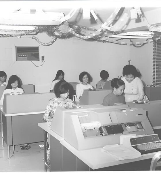 Descubra Como o Programa de Jovem Aprendiz da IBM em Hortol ndia Pode Transformar Seu Futuro Profissional