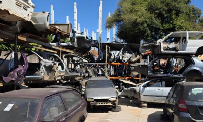Desmantelando o Crime Como Hortol ndia Est Revolucionando a Fiscaliza o de Desmontes Ilegais no Brasil