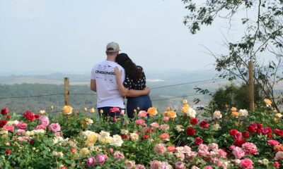 Do Campo ao Parque Ecol gico Por Que a 43 Festa de Flores e Morangos de Atibaia Promete Ser Inesquec vel