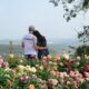 Do Campo ao Parque Ecol gico Por Que a 43 Festa de Flores e Morangos de Atibaia Promete Ser Inesquec vel