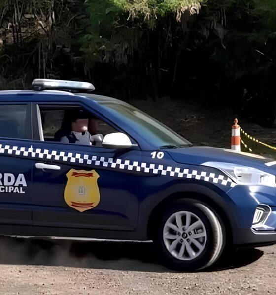 Guarda Municipal de Hortol ndia Uma Nova Oportunidade Surge no Horizonte