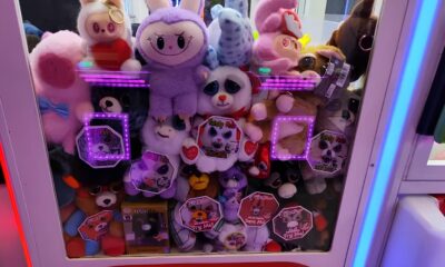 Master Plush O Evento Que Transforma Campinas em um Mundo Encantado de Pel cias e Magia