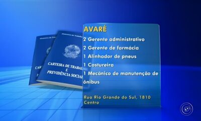 Mongagu em Foco Oportunidades de Emprego e Qualifica o Transformam Vidas na Baixada Santista
