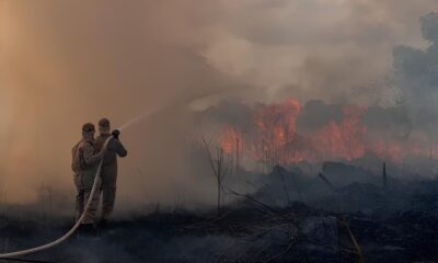 O Decl nio das Chamas em Hortol ndia Como a Educa o e a A o Coletiva Reduziram Queimadas em 75