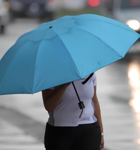 O Dia Cinzento de Hortolândia: Como o Tempo Molda a Rotina da Cidade em Um Encontro Perfeito Entre Céu e Terra 9 O Dia Cinzento de Hortol ndia Como o Tempo Molda a Rotina da Cidade em Um Encontro Perfeito Entre C u e Terra