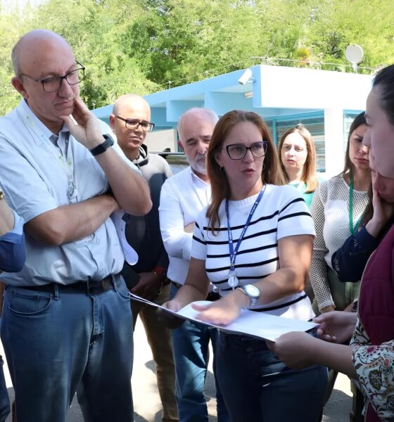 O Fim do Pesadelo Olfativo Como Hortol ndia Est Combatendo o Mau Cheiro que Envenena Bairros e Vidas