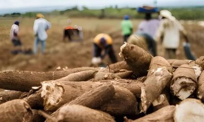 O L der de Produ o que a Ind stria Farmac utica Precisa Como Conquistar uma Vaga na RBBL GRUPO NC em Hortol ndia