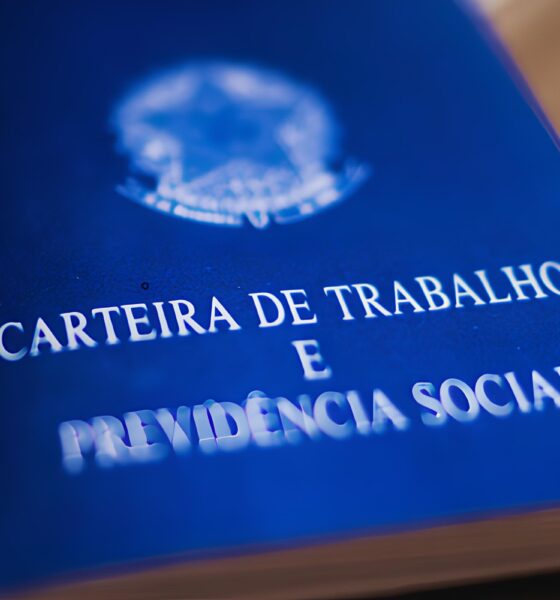 Oportunidades Renovadas: Caraguatatuba Surge Como um Farol de Esperança no Mercado de Trabalho em 2025 9 Oportunidades Renovadas Caraguatatuba Surge Como um Farol de Esperan a no Mercado de Trabalho em 2025
