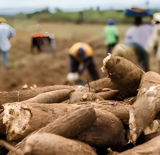 Por Dentro da Vaga de Líder de Produção em Hortolândia: Como Se Destacar na RBBL GRUPO NC e Conquistar Sua Carreira dos Sonhos 9 Por Dentro da Vaga de L der de Produ o em Hortol ndia Como Se Destacar na RBBL GRUPO NC e Conquistar Sua Carreira dos Sonhos