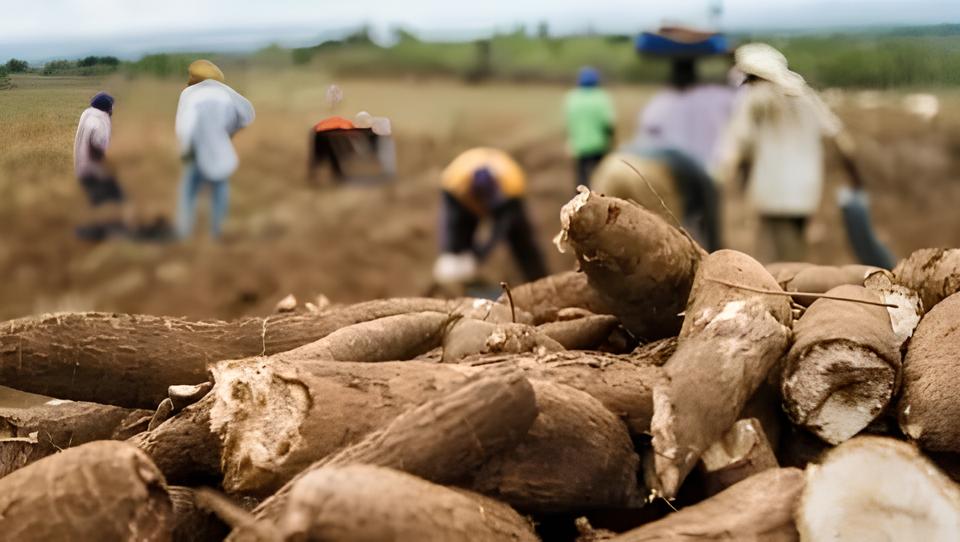 Por Dentro da Vaga de Líder de Produção em Hortolândia: Como Se Destacar na RBBL GRUPO NC e Conquistar Sua Carreira dos Sonhos 8 Por Dentro da Vaga de L der de Produ o em Hortol ndia Como Se Destacar na RBBL GRUPO NC e Conquistar Sua Carreira dos Sonhos