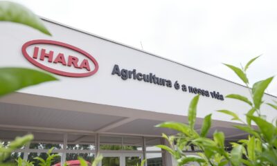 Quando o Chefe Decide Quem Voc Deve Eleger O Caso que Abalou a Justi a do Trabalho e Acendeu um Alerta para 2026