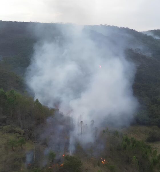 Quando o Fogo Engole a Paisagem: O Incêndio em Amparo e Suas Marcas na Natureza 9 Quando o Fogo Engole a Paisagem O Inc ndio em Amparo e Suas Marcas na Natureza