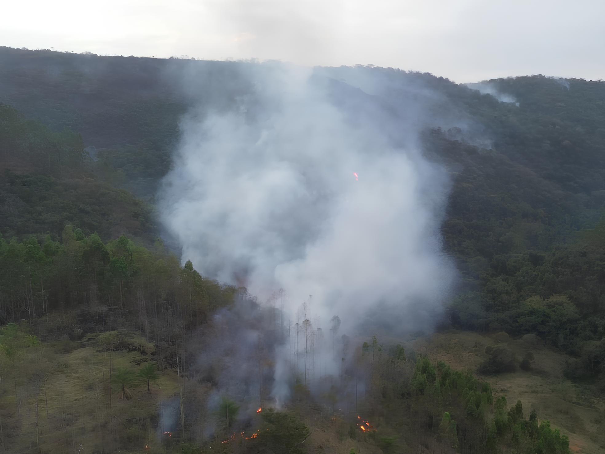 Quando o Fogo Engole a Paisagem: O Incêndio em Amparo e Suas Marcas na Natureza 8 Quando o Fogo Engole a Paisagem O Inc ndio em Amparo e Suas Marcas na Natureza
