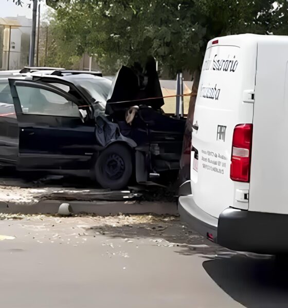 Tragédia em Piracicaba: O Dia em que um Mal Súbito Transformou uma Manhã Comum em Caos e Dor 9 Trag dia em Piracicaba O Dia em que um Mal S bito Transformou uma Manh Comum em Caos e Dor