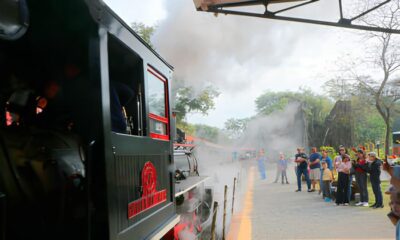 Uma Viagem no Tempo Descubra o Encanto da Maria Fuma a em Campinas Inscri es Abertas