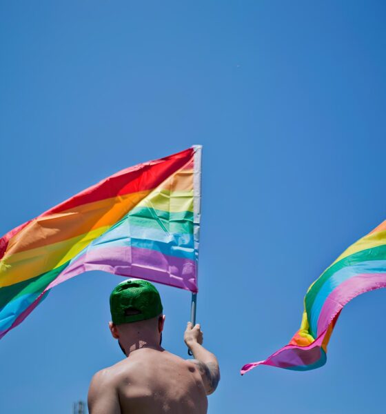 A Voz dos Marginalizados: Como a 6ª Parada LGBT+ de Hortolândia Está Redefinindo o Futuro da Diversidade 9 A Voz dos Marginalizados Como a 6 Parada LGBT de Hortol ndia Est Redefinindo o Futuro da Diversidade