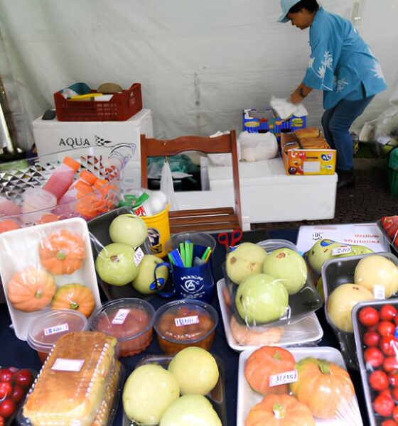 Celebrando o Campo: 3º Festival Campinas Rural Reúne Sabores, Cultura e Negócios em Um Espetáculo Raro 9 Celebrando o Campo 3 Festival Campinas Rural Re ne Sabores Cultura e Neg cios em Um Espet culo Raro