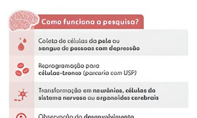 Cientistas Brasileiros Desvendam os Segredos da Depress o Usando Minic rebros Criados em Laborat rio Uma Jornada Inovadora na Medicina Regenerativa