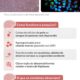 Cientistas Brasileiros Desvendam os Segredos da Depress o Usando Minic rebros Criados em Laborat rio Uma Jornada Inovadora na Medicina Regenerativa