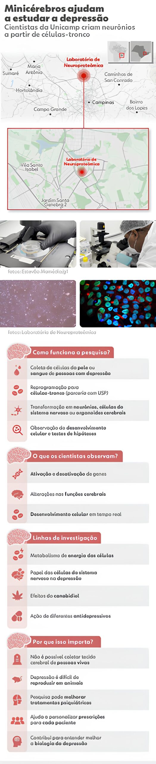 Cientistas Brasileiros Desvendam os Segredos da Depressão Usando Minicérebros Criados em Laboratório: Uma Jornada Inovadora na Medicina Regenerativa 8 Cientistas Brasileiros Desvendam os Segredos da Depress o Usando Minic rebros Criados em Laborat rio Uma Jornada Inovadora na Medicina Regenerativa scaled