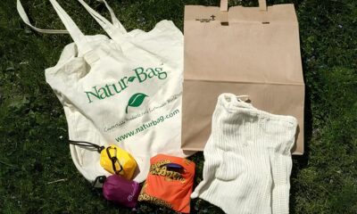 Como Alunos de uma Fatec Transformaram Res duos em Inova o A Revolu o das Ecobags Sustent veis