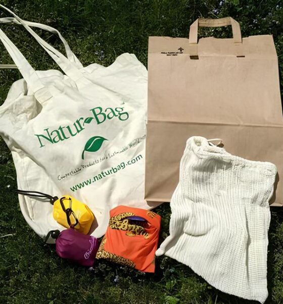 Como Alunos de uma Fatec Transformaram Resíduos em Inovação: A Revolução das Ecobags Sustentáveis 9 Como Alunos de uma Fatec Transformaram Res duos em Inova o A Revolu o das Ecobags Sustent veis