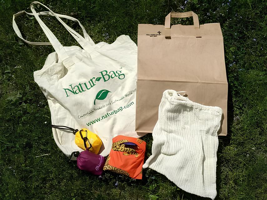 Como Alunos de uma Fatec Transformaram Resíduos em Inovação: A Revolução das Ecobags Sustentáveis 8 Como Alunos de uma Fatec Transformaram Res duos em Inova o A Revolu o das Ecobags Sustent veis