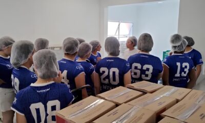 Como Hortol ndia Est Redefinindo o Futuro da Alimenta o e Educa o Uma Jornada Inspiradora no Banco de Alimentos