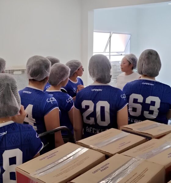 Como Hortolândia Está Redefinindo o Futuro da Alimentação e Educação: Uma Jornada Inspiradora no Banco de Alimentos 9 Como Hortol ndia Est Redefinindo o Futuro da Alimenta o e Educa o Uma Jornada Inspiradora no Banco de Alimentos