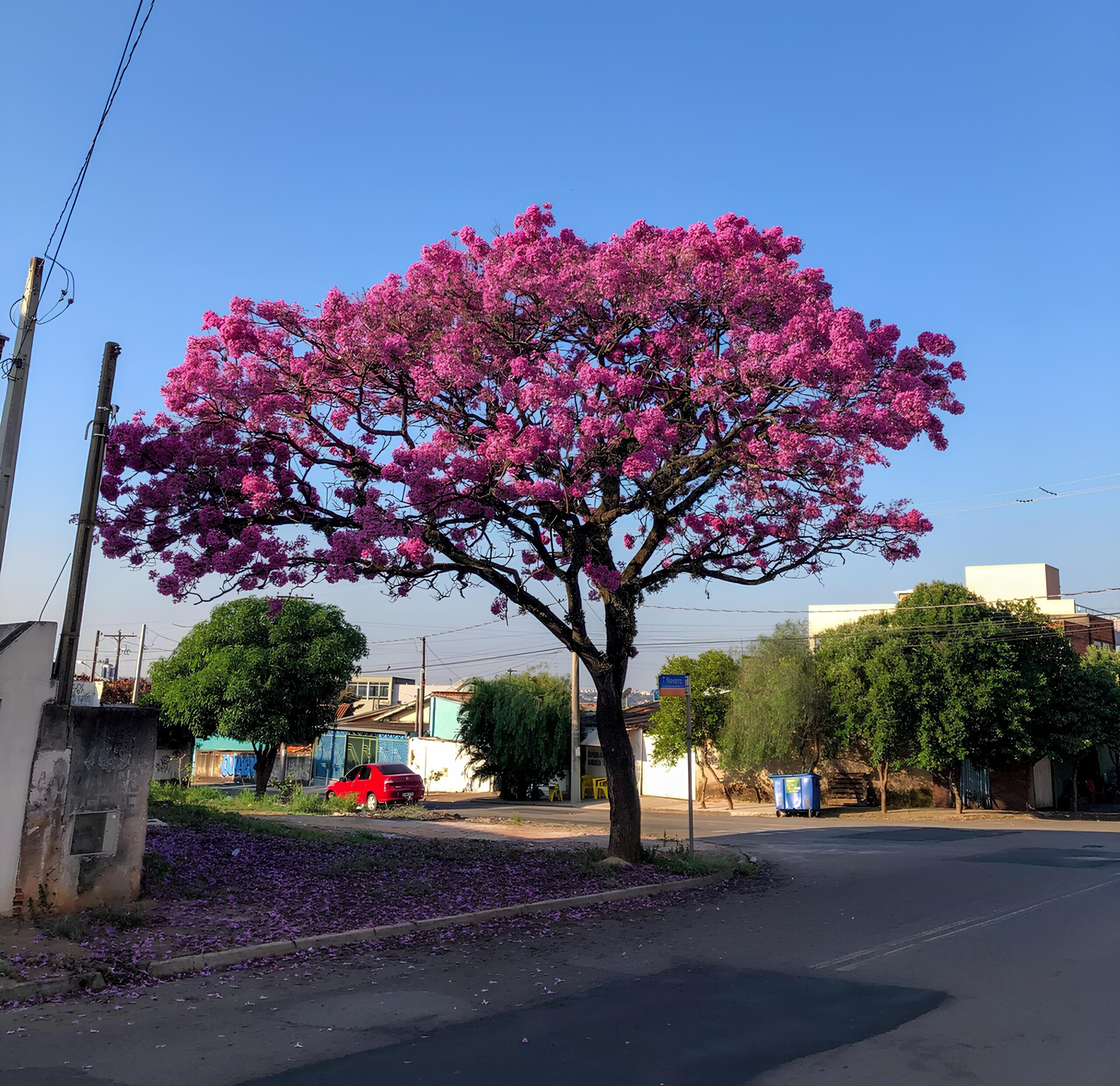 Como a Prefeitura de Hortolândia Está Revolucionando o Dia da Árvore com Ações Sustentáveis e Inovadoras 8 Como a Prefeitura de Hortol ndia Est Revolucionando o Dia da rvore com A es Sustent veis e Inovadoras scaled