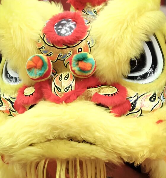Como o Festival da Lua Transformou Campinas em um Portal para a Cultura Chinesa Um Raio X das Atividades nos Shoppings da Cidade