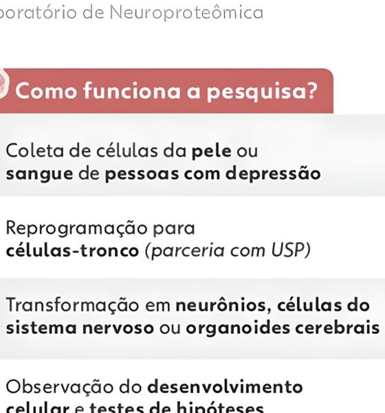 Descoberta Científica Revolucionária: Como Minicérebros Criados em Laboratório Podem Revelar os Segredos da Depressão 9 Descoberta Cient fica Revolucion ria Como Minic rebros Criados em Laborat rio Podem Revelar os Segredos da Depress o