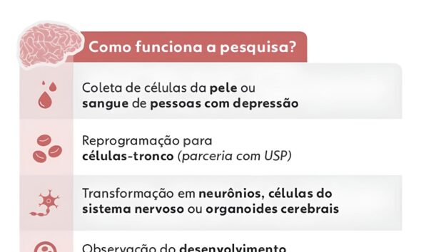 Descoberta Cient fica Revolucion ria Como Minic rebros Criados em Laborat rio Podem Revelar os Segredos da Depress o