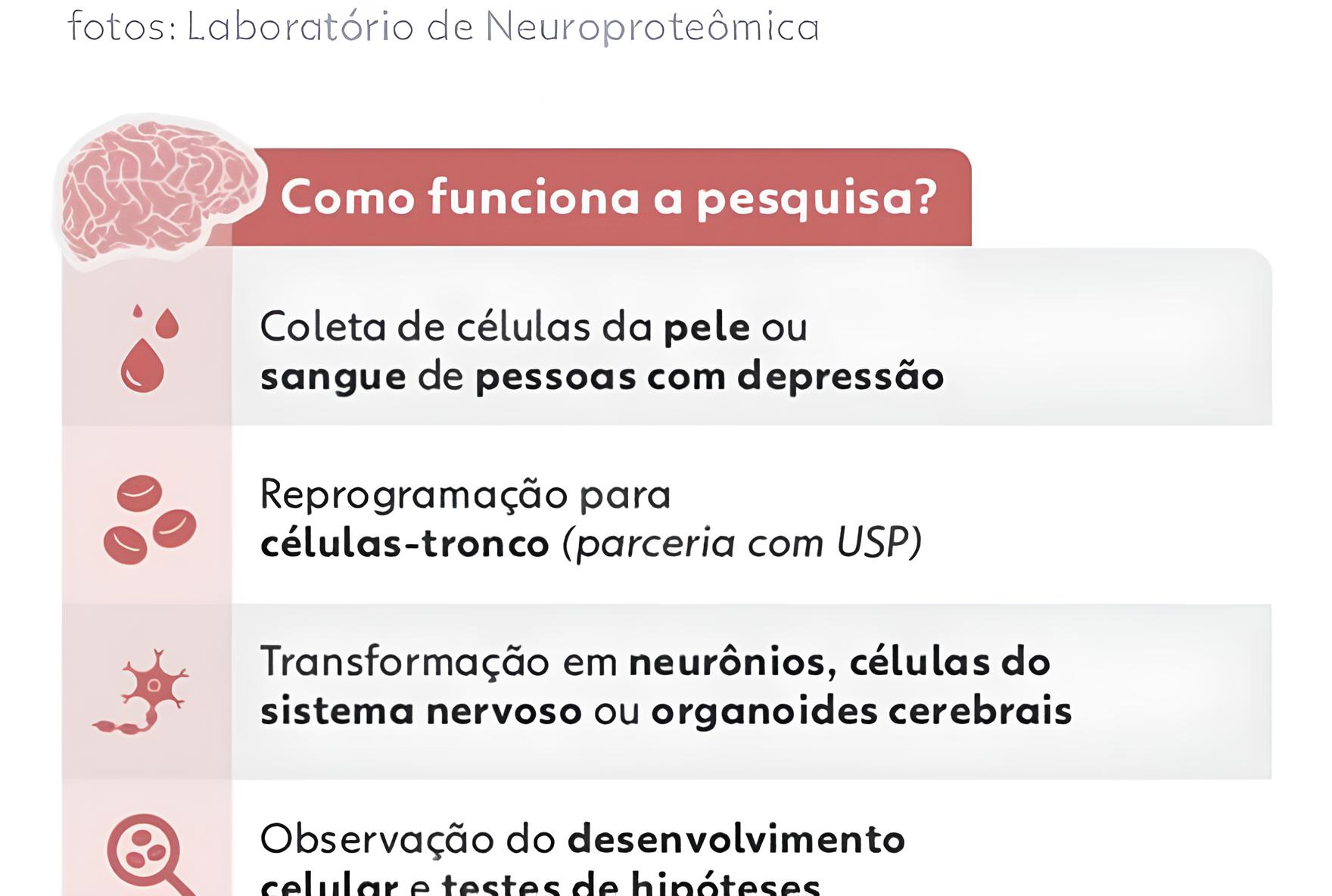 Descoberta Científica Revolucionária: Como Minicérebros Criados em Laboratório Podem Revelar os Segredos da Depressão 8 Descoberta Cient fica Revolucion ria Como Minic rebros Criados em Laborat rio Podem Revelar os Segredos da Depress o