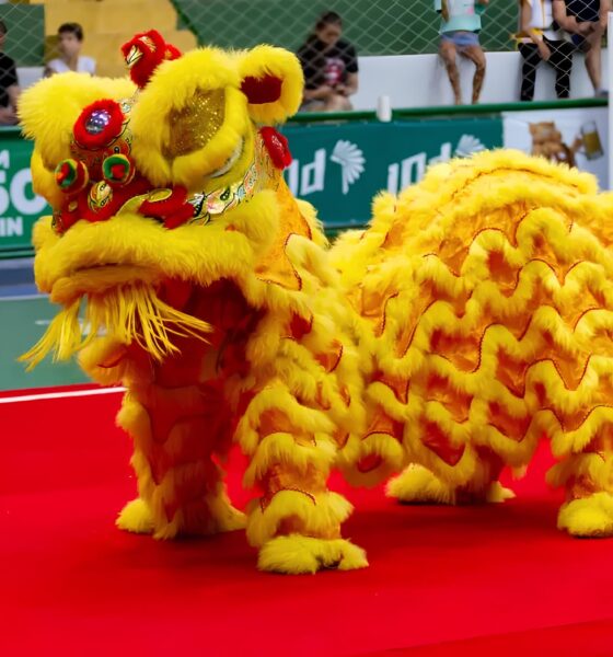 Descubra o Encanto do Oriente: Mostra Cultural Chinesa Transforma Shopping de Campinas em Portal para Tradições Milenares 9 Descubra o Encanto do Oriente Mostra Cultural Chinesa Transforma Shopping de Campinas em Portal para Tradi es Milenares