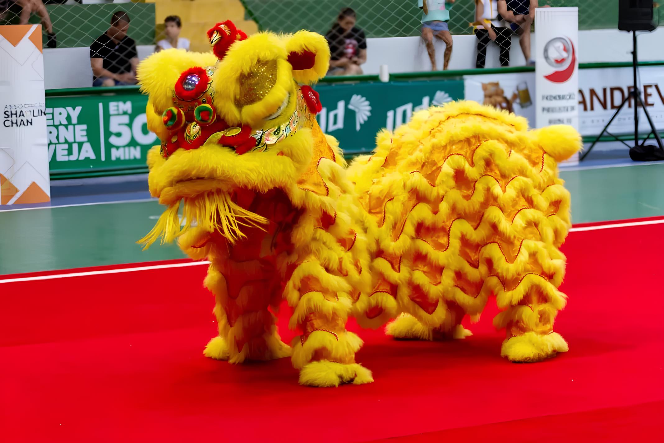 Descubra o Encanto do Oriente: Mostra Cultural Chinesa Transforma Shopping de Campinas em Portal para Tradições Milenares 8 Descubra o Encanto do Oriente Mostra Cultural Chinesa Transforma Shopping de Campinas em Portal para Tradi es Milenares