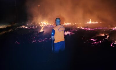 Inc ndio nas Margens da Anhanguera Um Desastre Entre Chamas e Suspeitas