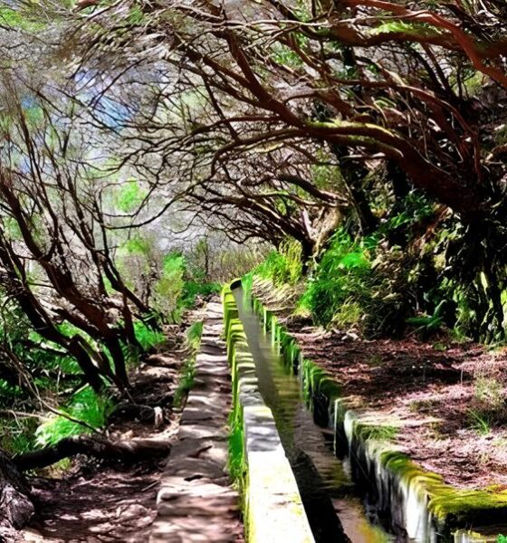 Madeira Irregular em Hortolândia: O Caso dos Mil Metros Cúbicos e a Multa de R$ 304 Mil que Abalou o Mercado 9 Madeira Irregular em Hortol ndia O Caso dos Mil Metros C bicos e a Multa de R 304 Mil que Abalou o Mercado