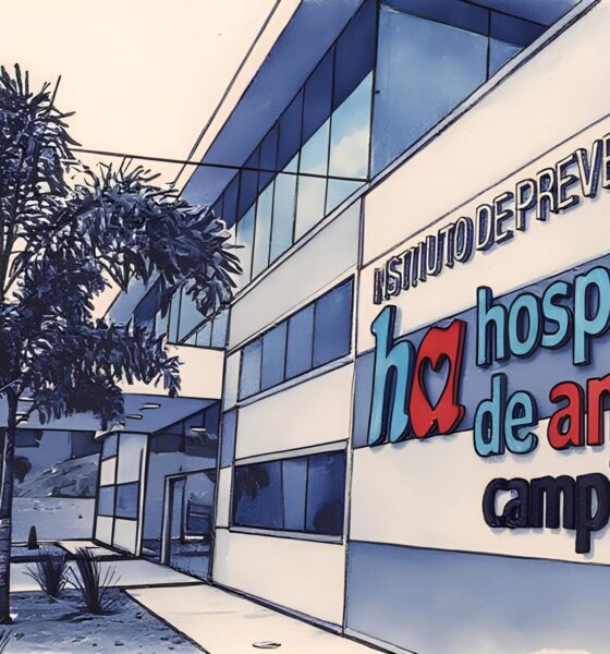 O Silêncio que Ecoa: O Que Está por Trás da Suspensão dos Atendimentos Oncológicos em Campinas? 9 O Sil ncio que Ecoa O Que Est por Tr s da Suspens o dos Atendimentos Oncol gicos em Campinas