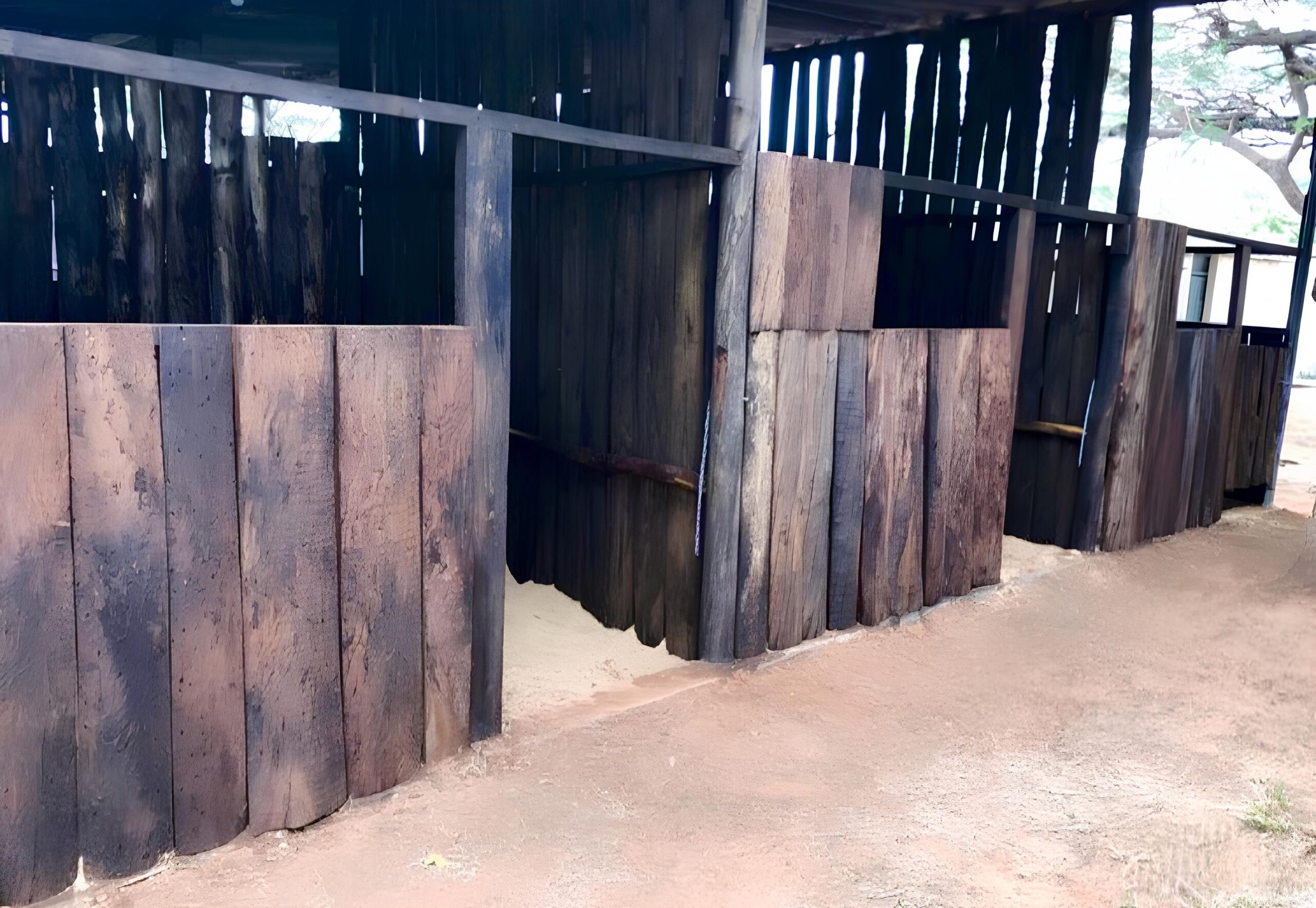 O Templo Equestre de Campinas: Como o RB Ranch Revolucionou o Mundo do Ranch Sorting e Team Penning no Brasil 8 O Templo Equestre de Campinas Como o RB Ranch Revolucionou o Mundo do Ranch Sorting e Team Penning no Brasil scaled